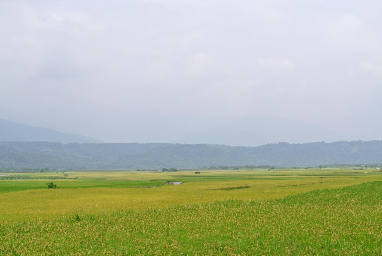 Pu Shi Homestay Yuli Exterior foto